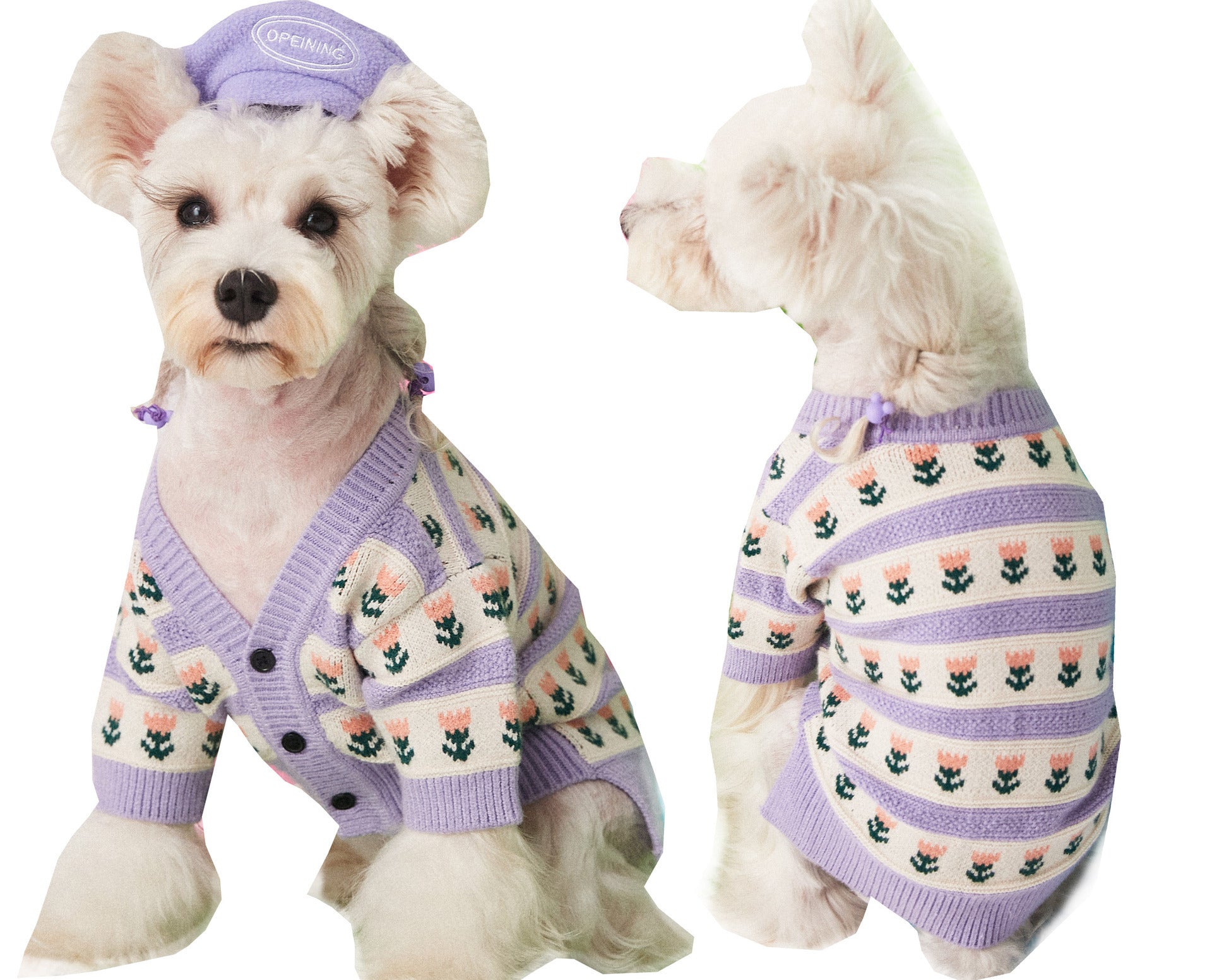 Why Your Dog Deserves the Purple Flower Pet Dog Sweater Cardigan